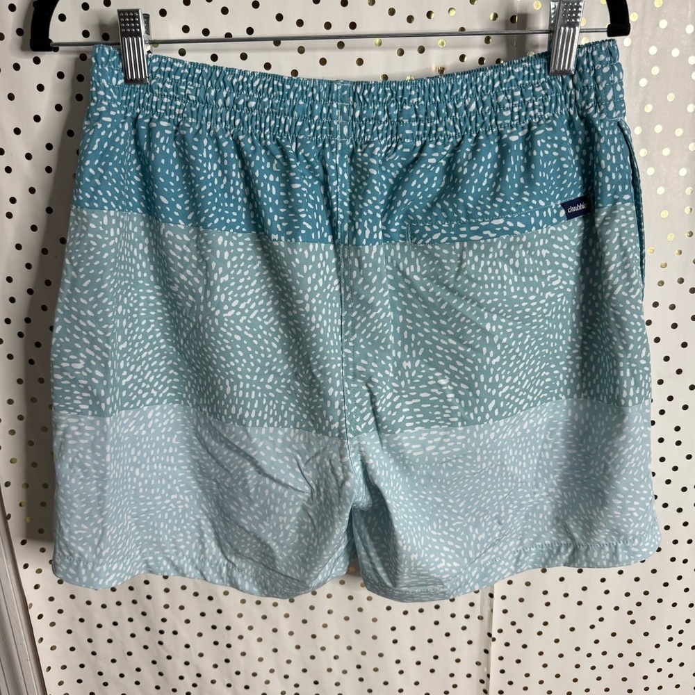 Chubbies Blue Patterned Shorts - image 6